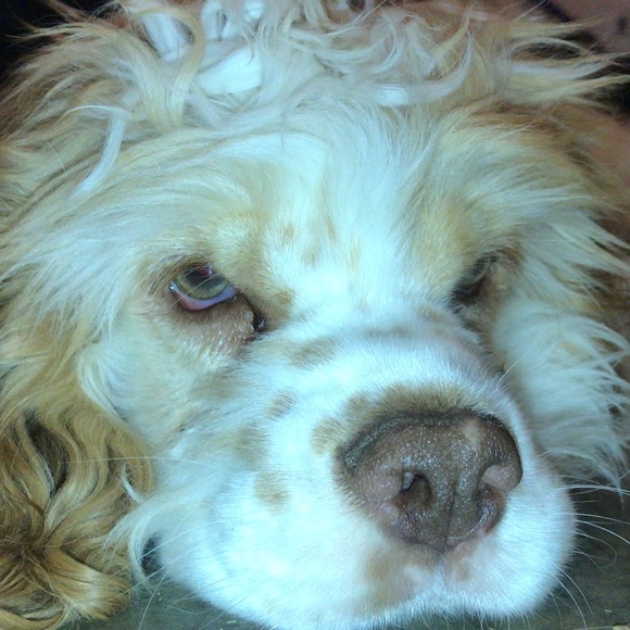 Meet your Posher, Naomi - Picture 4 of 11